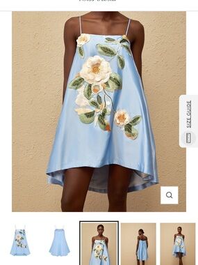 Arvil Blue Floral Embroidered Satin Mini Dress